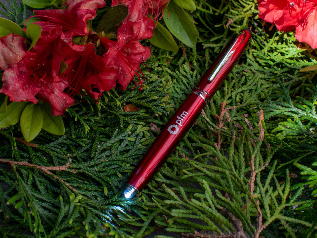 Schifano Triple Function pen light up among red flowers and evergreen leaves